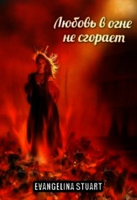 Любовь в огне не сгорает (СИ) - "Evangelina Stuart"
