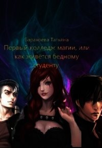 Первый колледж магии или как живется бедному студенту (СИ) - Барахоева Татьяна