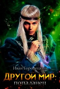 Попаданец (СИ) - Городецкий Иван