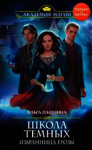 Школа темных. Избранница грозы - Пашнина Ольга Олеговна