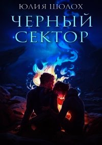 Чёрный сектор (СИ) - Шолох Юлия