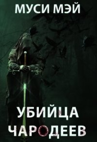 Убийца чародеев (СИ) - Лис Алекс "Муси Мэй"