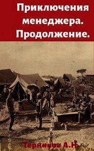 Приключения менеджера. Продолжение (СИ) - Терников Александр Николаевич