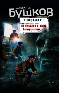 Из пламени и дыма. Военные истории - Бушков Александр Александрович