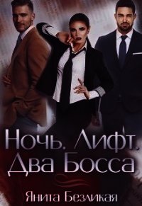 Ночь. Лифт. Два Босса (СИ) - Безликая Янита