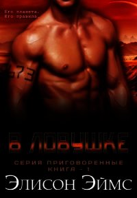 В ловушке (ЛП) - Эймс Элисон