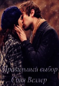 Правильный выбор (СИ) - Веллер Соня