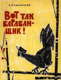 Вот так барабанщик&#33; - Каменский Александр Владимирович