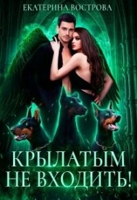 Крылатым не входить&#33; (СИ) - Вострова Екатерина