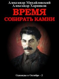 Время собирать камни. Том 2 - Михайловский Александр