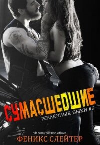 Сумасшедшие (ЛП) - Слейтер Феникс