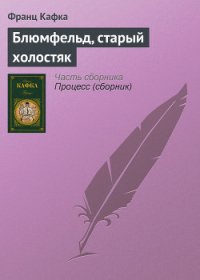 Блюмфельд, старый холостяк - Кафка Франц