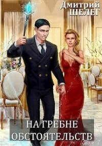 На гребне обстоятельств (СИ) - Шелег Игорь (Дмитрий) Витальевич