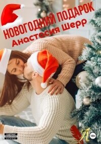 Новогодний подарок - Шерр Анастасия