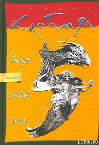 Второе кольцо силы - Кастанеда Карлос