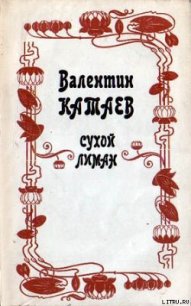 Обоюдный старичок - Катаев Валентин Петрович
