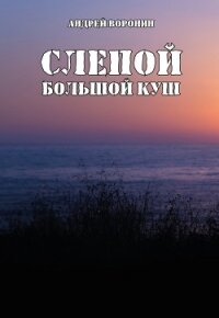 Слепой. Большой куш - Воронин Андрей
