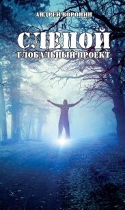 Слепой. Глобальный проект - Воронин Андрей