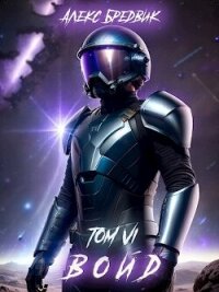 Войд. Том 6 (СИ) - Бредвик Алекс