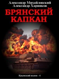 Брянский капкан - Михайловский Александр