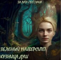 Кузница душ (СИ) - Залата Светлана