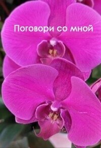 Поговори со мной (СИ) - Елисеева Виолетта
