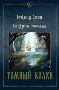 Темный Волхв (СИ) - Сохань Александр