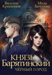Князь Барятинский 3. Чёрный город - Криптонов Василий