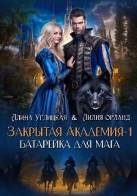 Закрытая академия – 1. Батарейка для мага - Караюз Алина