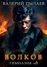 Волков. Гимназия №6 - Пылаев Валерий