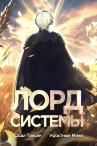 Лорд Системы 4 (СИ) - Токсик Саша