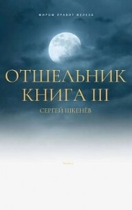 Отшельник Книга 3 (СИ) - Шкенев Сергей Николаевич