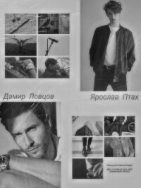 Золотая клетка. В силках (СИ) - "Yueda"