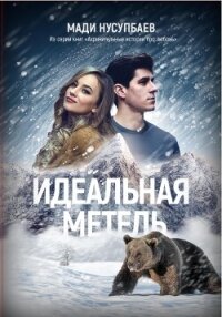 Идеальная метель - Нусупбаев Мади