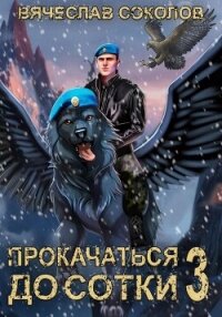 Прокачаться до сотки 3 - Соколов Вячеслав Иванович