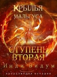 Ступень вторая (СИ) - Видум Инди