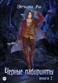 Черные лабиринты. Книга 2 - Ли Эмили