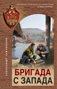 Бригада с запада - Тамоников Александр