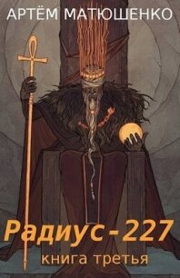 Радиус 227 книга третья (СИ) - Матюшенко Артем