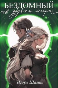 Бездомный в другом мире (СИ) - Шамин Игорь