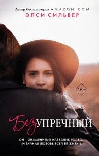 Безупречный - Сильвер Элси