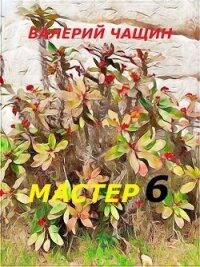Мастер 6 (СИ) - Чащин Валерий