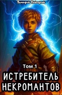 Истребитель некромантов. Том 1 (СИ) - Тайецкий Тимофей