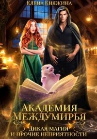 Академия Междумирья. Дикая магия и прочие неприятности - Княжина Елена