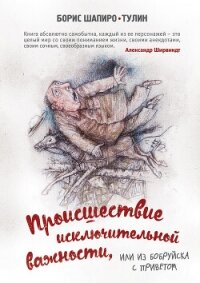 Происшествие исключительной важности, или Из Бобруйска с приветом - Шапиро-Тулин Борис