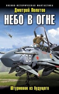 Небо в огне. Штурмовик из будущего - Политов Дмитрий Валерьевич