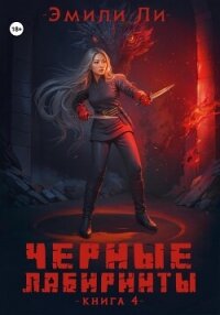 Черные лабиринты. Книга 4 - Ли Эмили