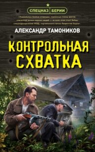 Контрольная схватка - Тамоников Александр