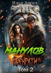 Манулов, прекрати! Том 2 - Ангел Илья
