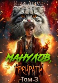 Манулов, прекрати! Том 3 - Ангел Илья